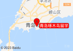 青岛啄木鸟留学
