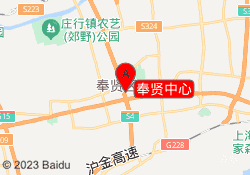 奉贤中心