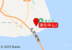 浦东中心2