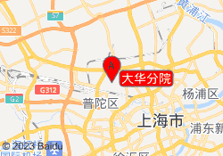 大华分院