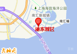 浦东新区