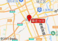 莘庄分院