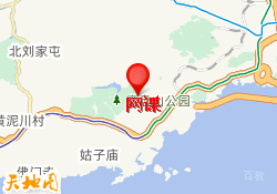 大连和教育国际本科网课