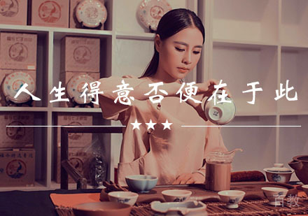 茶道研习全体系深度解析