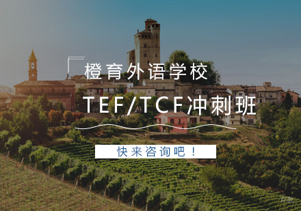  青岛TEF/TCF冲刺班