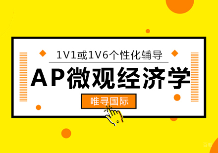  上海AP微观经济学一对一课程培训