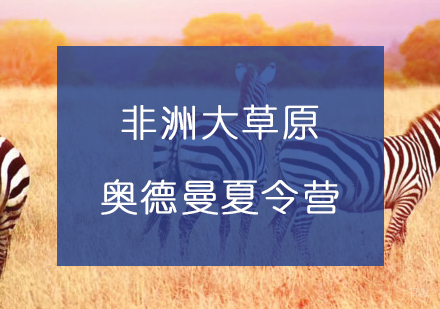 上海非洲大草原动物迁徙+海岛亲子游