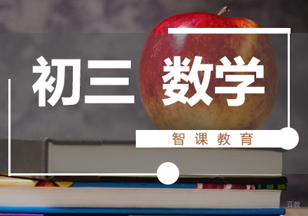 济南初三数学课程