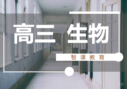 济南高三生物课程