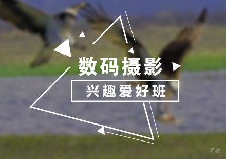 上海数码摄影初级爱好班