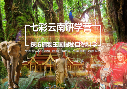 沈阳七彩云南研学游学夏令营