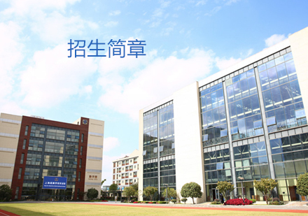 上海诺美学校招生简章