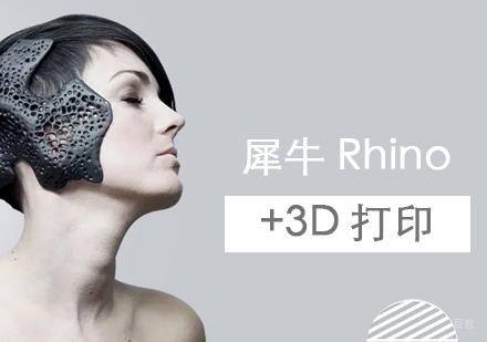  上海犀牛Rhino+3D打印