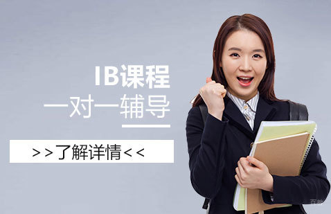 上海IB课程一对一辅导