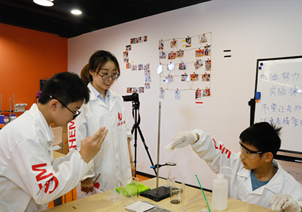 智勇未来科学家实践项目深度解析