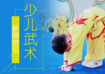 上海少儿武术培训机构深度解析