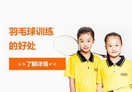 青少年羽毛球专项训练全方位解析