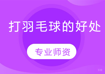 羽毛球运动多维价值深度解析