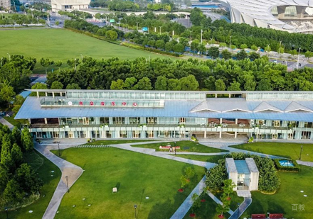 古典音乐精英培养的黄金路径解析