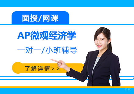 上海AP微观经济学一对一/小班辅导「面授/网课」