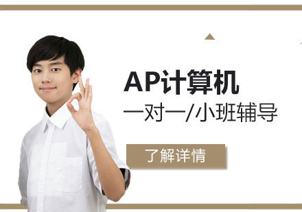  上海AP计算机一对一/小班辅导「面授/网课」
