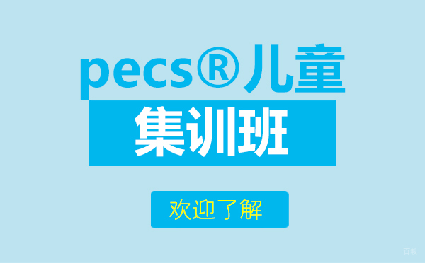 上海雅恩辅育PECS儿童沟通训练课程深度解析