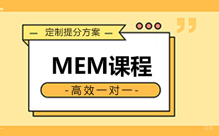 青岛MEM课程