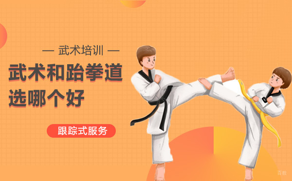武术与跆拳道全方位对比指南
