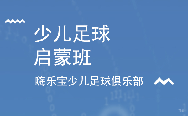 上海少儿足球启蒙课程深度解析