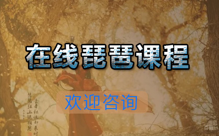  青岛在线琵琶课程
