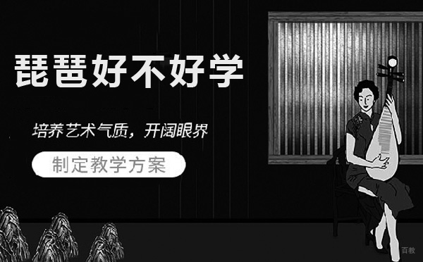 琵琶学习全攻略：掌握技巧与突破难点指南