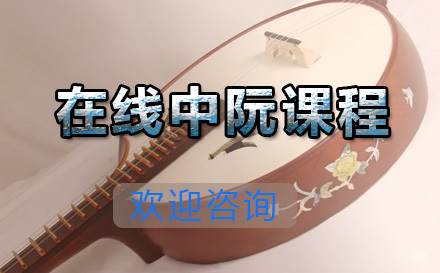  青岛在线中阮课程