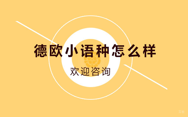 德欧小语种培训深度解析
