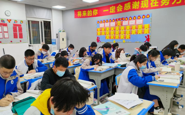 沪上初中升学路径全解：五类入学方案深度对比