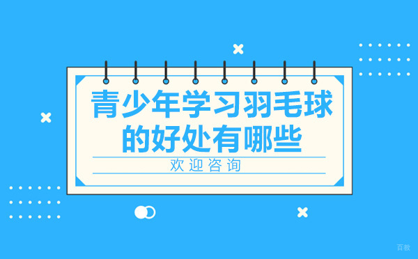 青少年羽毛球训练五大核心价值解析