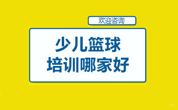 专业少儿篮球训练课程深度解析