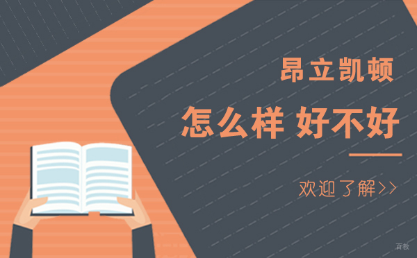 上海凯顿素质教育体系深度解析