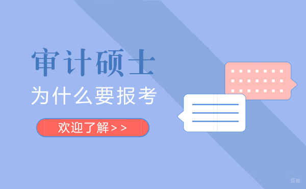 审计硕士深度解析：招生政策与职业发展全景