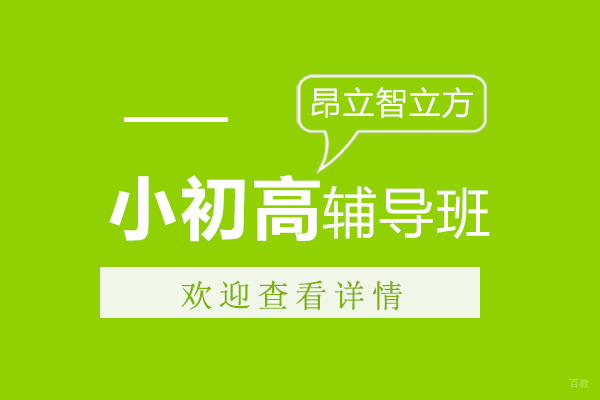 上海昂立智立方课程深度解析：个性化辅导如何助力学业提升