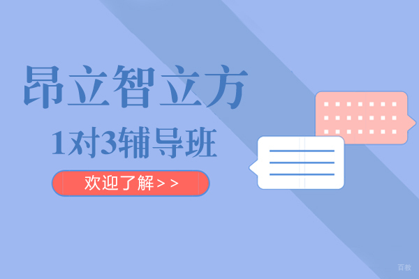 上海昂立智立方1对3教学模式深度解析