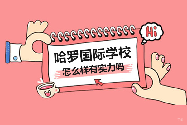 上海哈罗国际学校教育体系深度解析