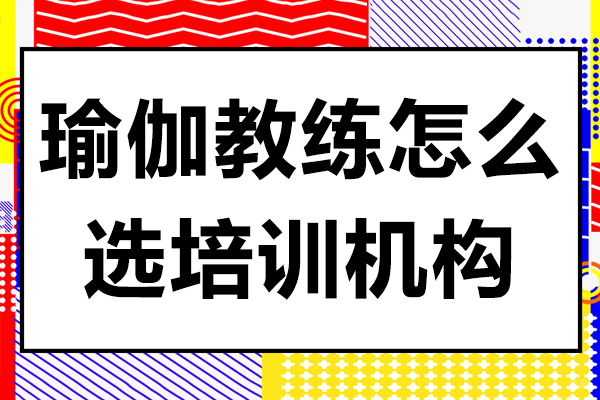 瑜伽教练职业发展指南｜培训机构选择与专业认证解析