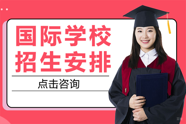 沪上国际学校最新入学通道深度解析