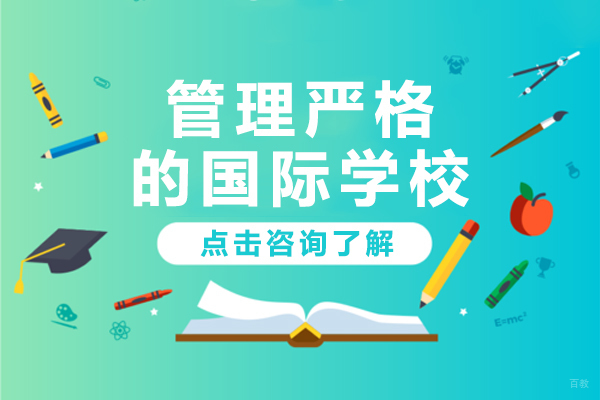 沪上六所高管理标准国际学校深度解析