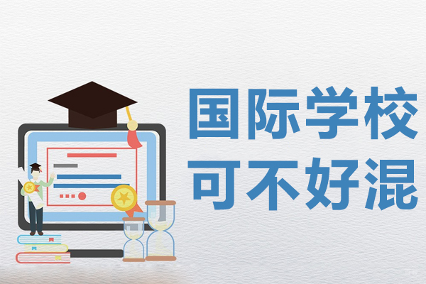 上海国际学校升学指南：课程衔接与学术准备要点解析