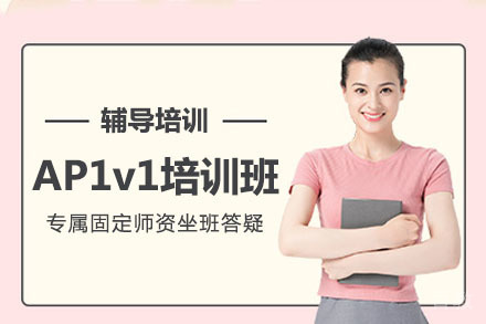 北京AP1v1培训班