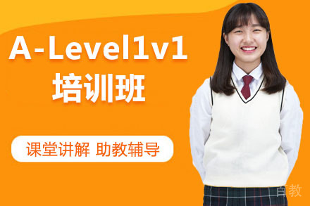  北京A-Level1v1培训班