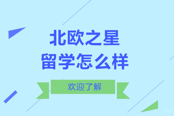 深度解析北欧之星留学服务特色与适应指南