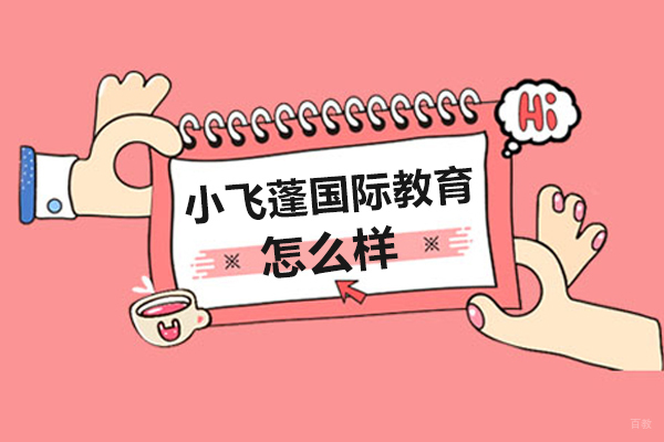 深度解析小飞蓬国际教育优势与服务体系