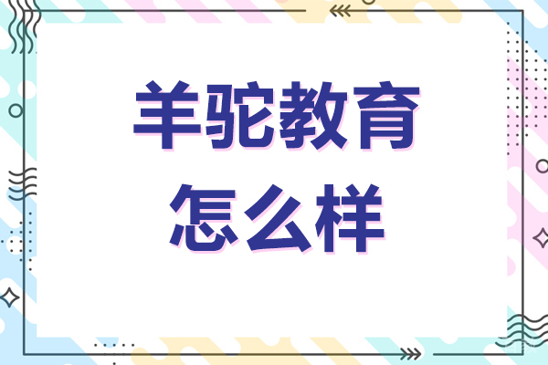 北京羊驼教育课程体系深度解析